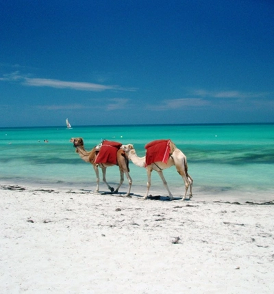 Les eaux turquoise tunisie