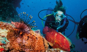 L’exploration des fonds marins